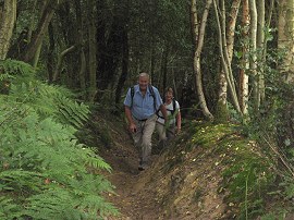 Heading up to Wolvens Lane